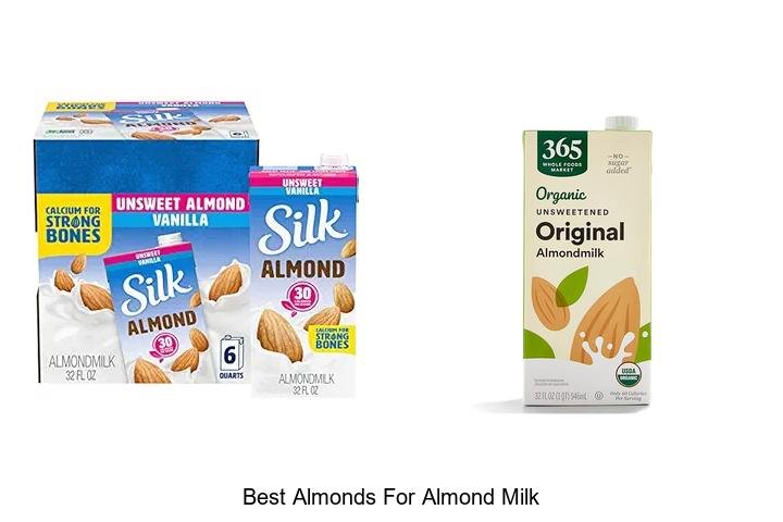 Top Picks: Best Almonds for Almond Milk!