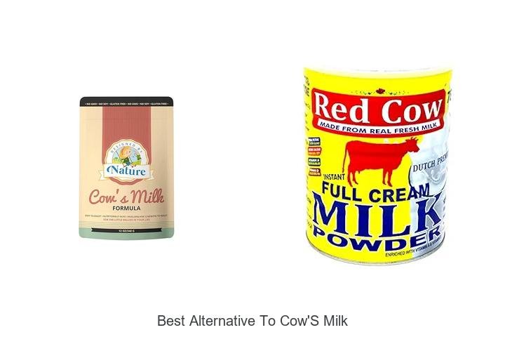Top Alternative to Cow’s Milk You Must Try