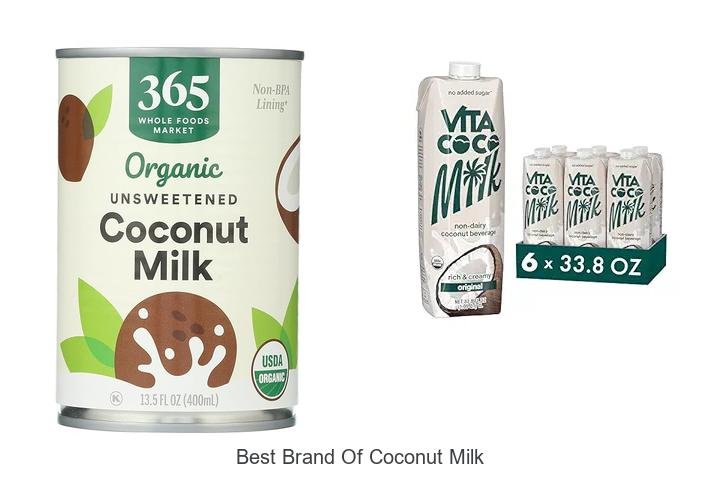 Discover the Best Brand of Coconut Milk Now!