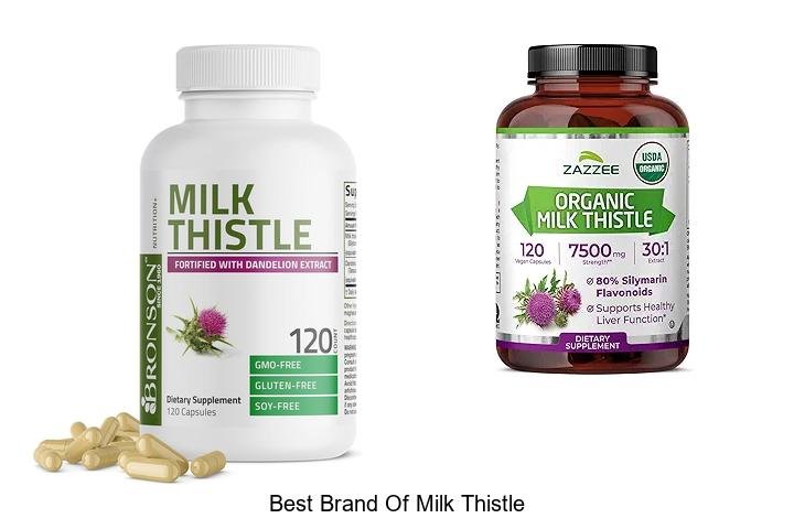 Discover the Best Brand of Milk Thistle Now!