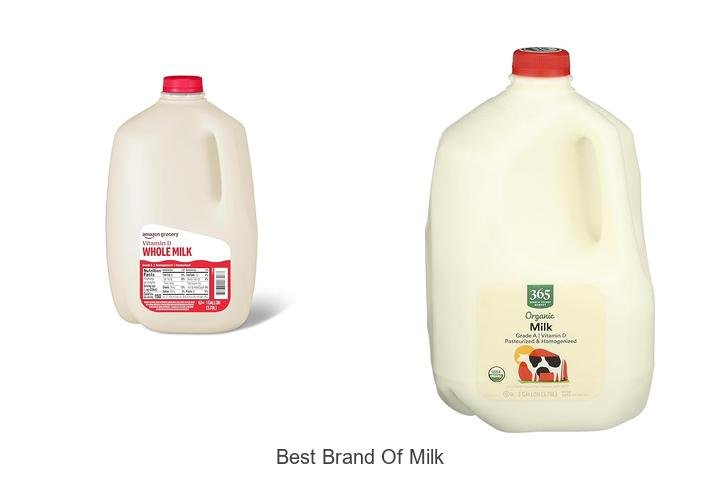 Discover the Best Brand of Milk You Must Try Today!