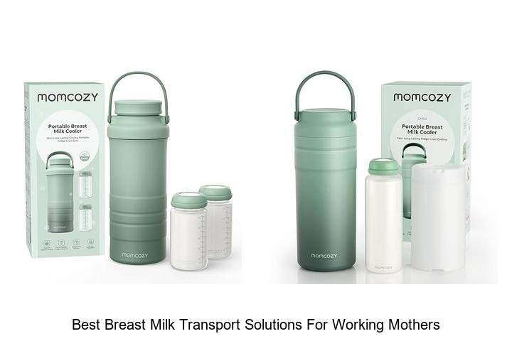 Ultimate Breast Milk Transport Tips for Moms