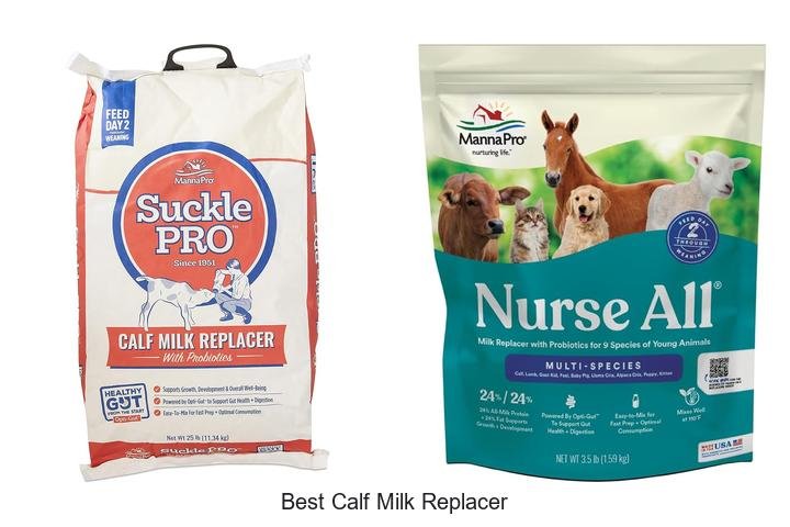 Top Rated Calf Milk Replacer for Fast Growth!