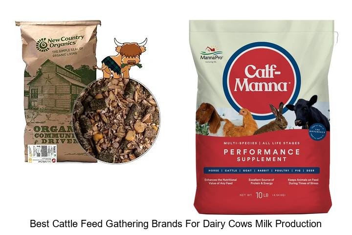 Top Cattle Feed Brands Boosting Dairy Milk Yield