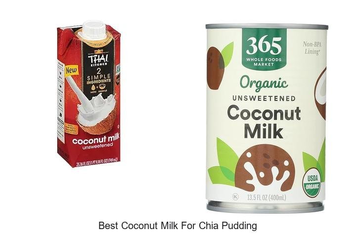 Discover the Best Coconut Milk for Chia Pudding Now!