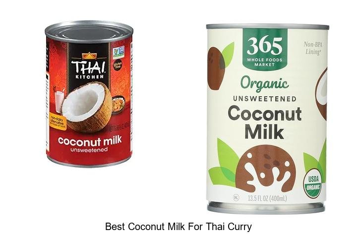 Top Coconut Milk Picks That Level Up Thai Curry!