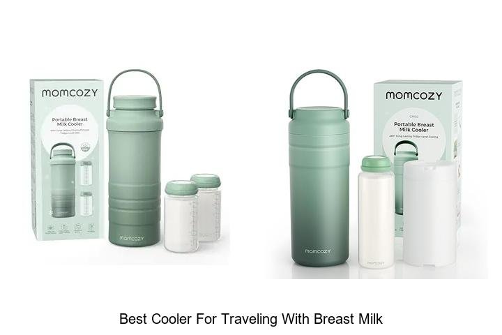 Top Cooler for Traveling with Breast Milk Revealed!