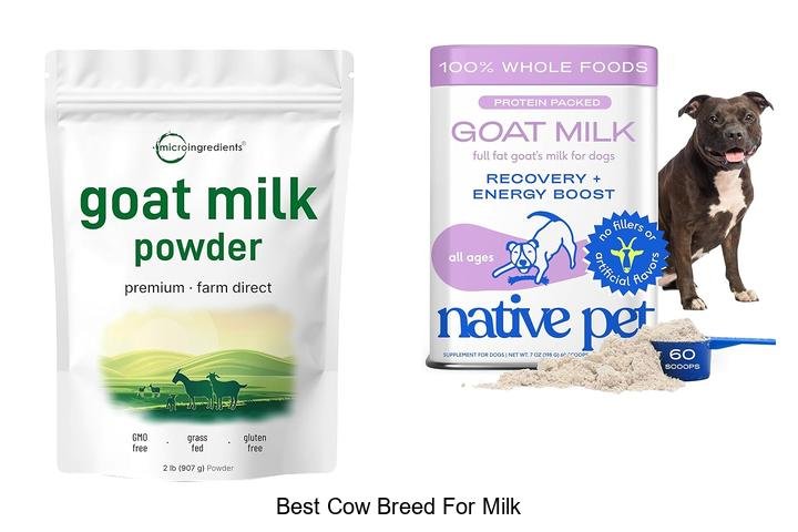 Discover the Best Cow Breed for Milk Production