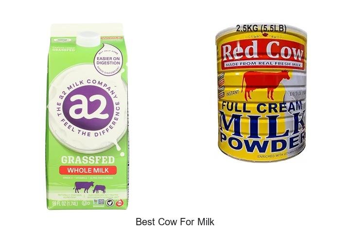 Discover the Ultimate Best Cow for Milk Secrets