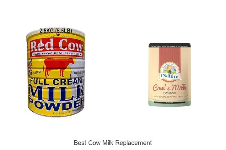 Top 5 Best Cow Milk Replacements You Must Try