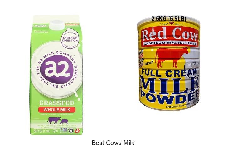 Discover What Makes the Best Cows Milk So Special!