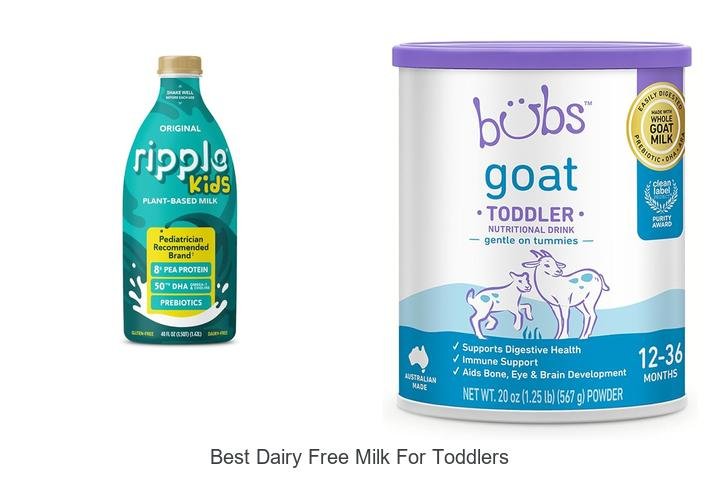 Top Dairy Free Milks Toddlers Love to Drink