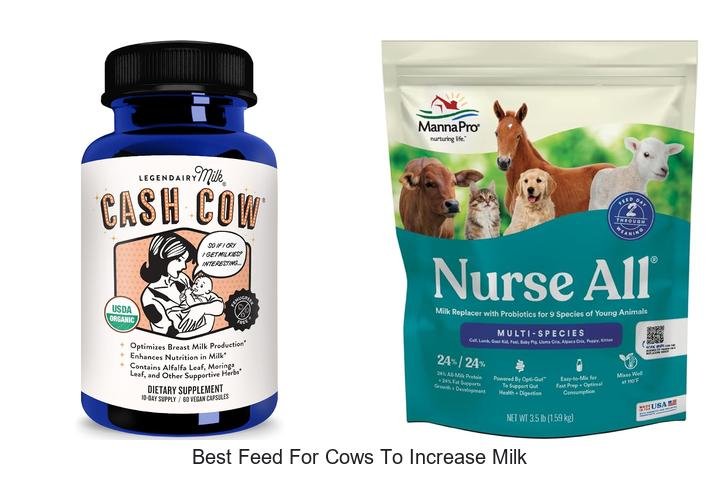Ultimate Feed for Cows: Boost Your Milk Output!