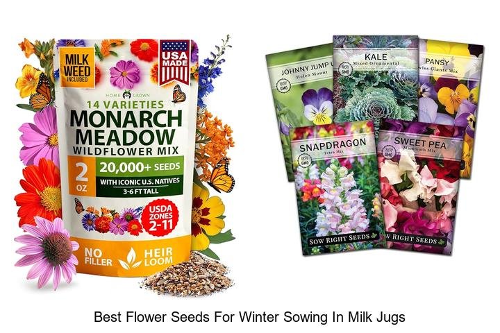 Discover the Best Flower Seeds for Winter Sowing