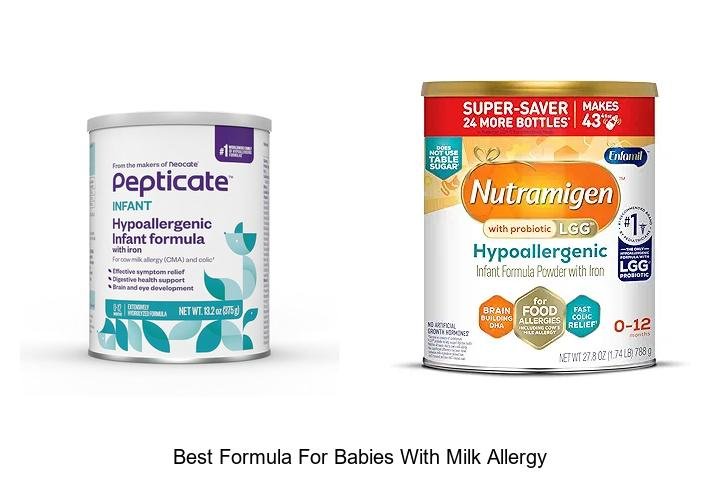 Best Formula for Babies with Milk Allergy: Top Choice