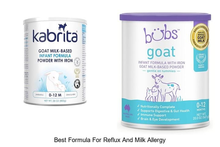 Top Formula Picks for Reflux and Milk Allergy Relief