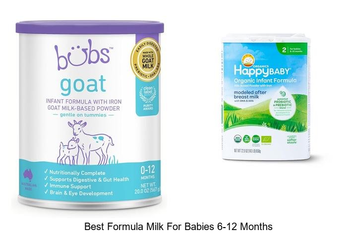Top Formula Milk for Babies 6-12 Months!