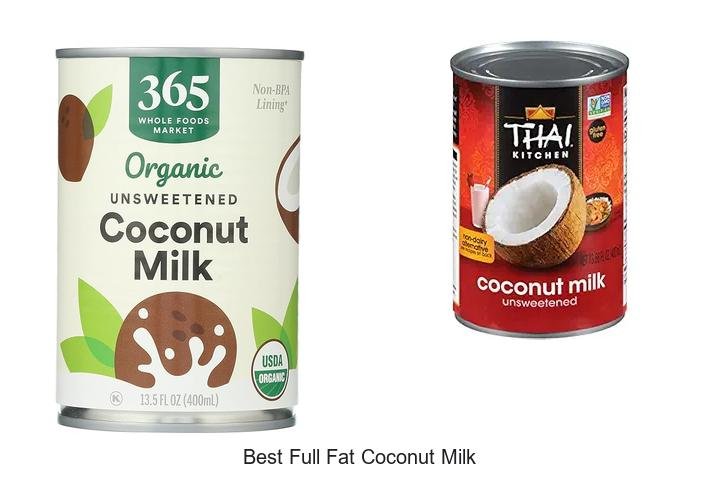 Discover the Best Full Fat Coconut Milk Now!