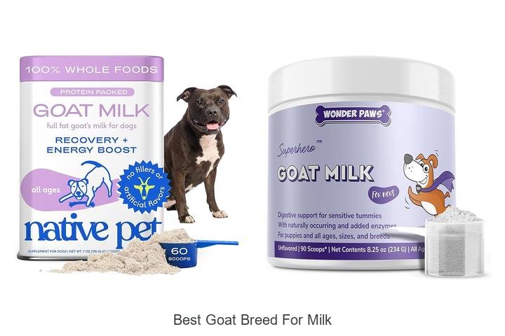 Unveil the Best Goat Breed for Milk: Shocking Results