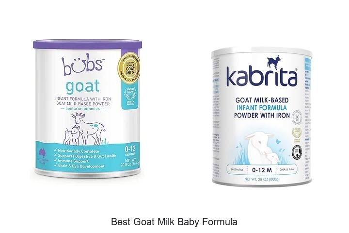 Discover the Best Goat Milk Baby Formula Today!