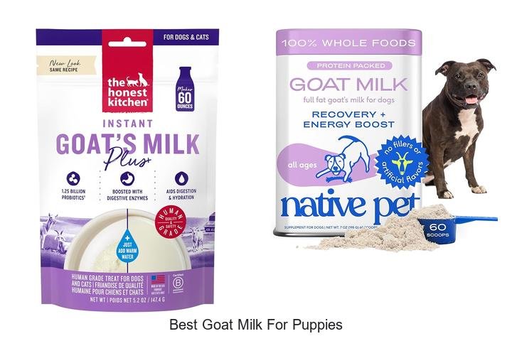 Ultimate Guide: Best Goat Milk for Puppies!