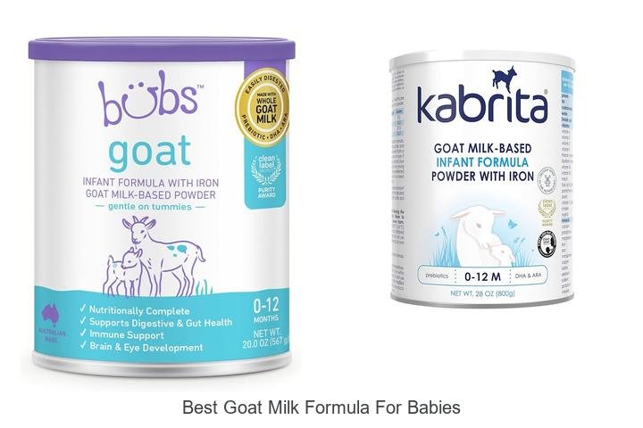 Top Choice: Best Goat Milk Formula for Babies