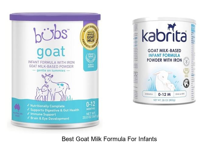 Top Picks: Best Goat Milk Formula for Infants
