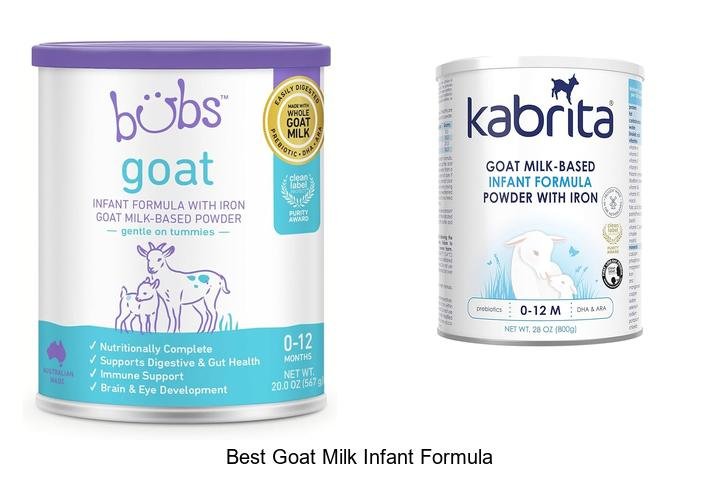 Discover the Best Goat Milk Infant Formula Now!