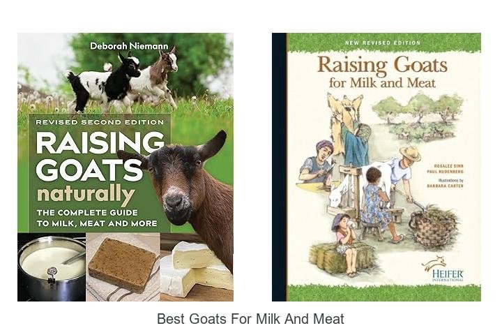 Top Goats for Milk and Meat You’ll Love