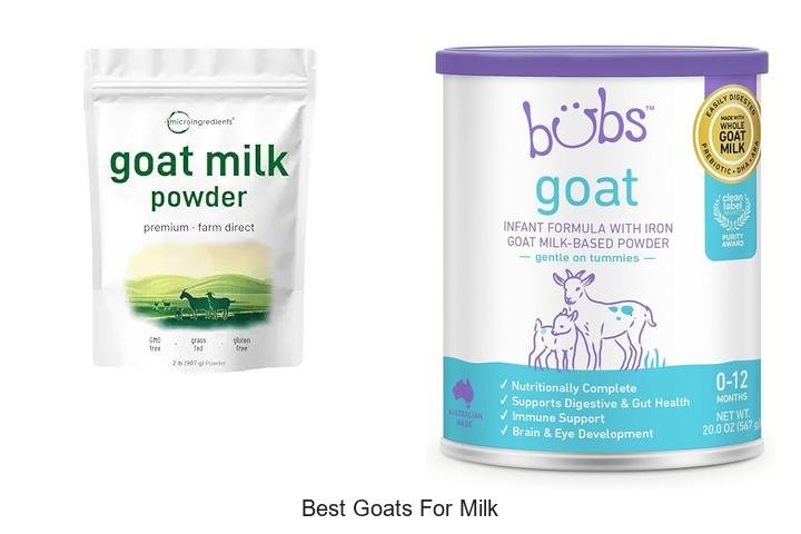 Discover the Top Goats for Unbelievable Milk Yields!