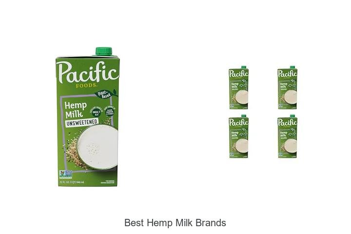 Top 5 Best Hemp Milk Brands You Must Try!