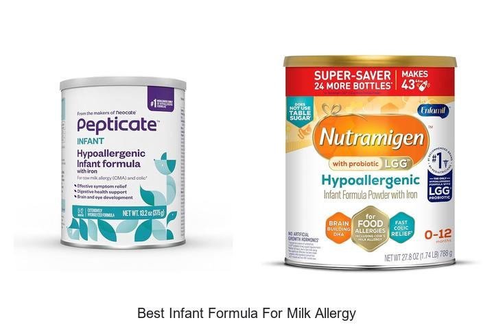 Ultimate Guide: Best Infant Formula for Milk Allergy