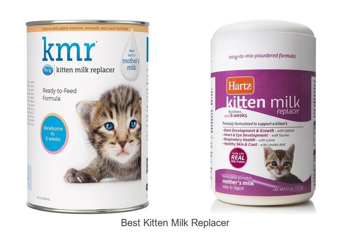 Ultimate Guide to Best Kitten Milk Replacer