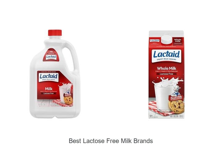 Top Lactose Free Milk Brands You Must Try Now!