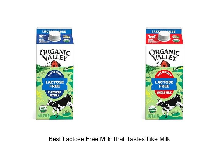 Discover the Best Lactose Free Milk That Tastes Real