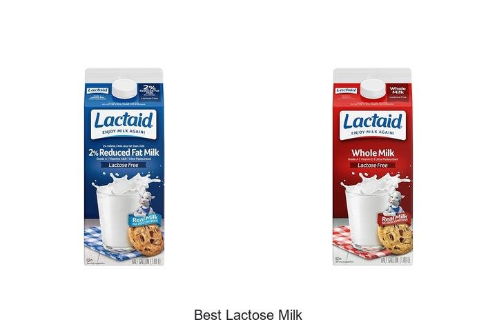 Discover the Best Lactose Milk for Sensitive Stomachs
