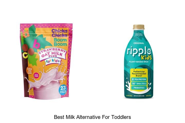 Top Milk Alternatives for Toddlers You’ll Love
