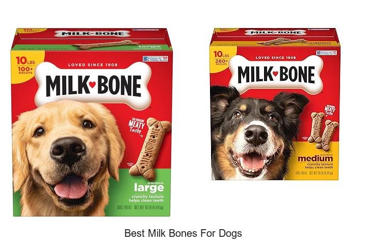 Discover the Best Milk Bones for Happy Dogs!