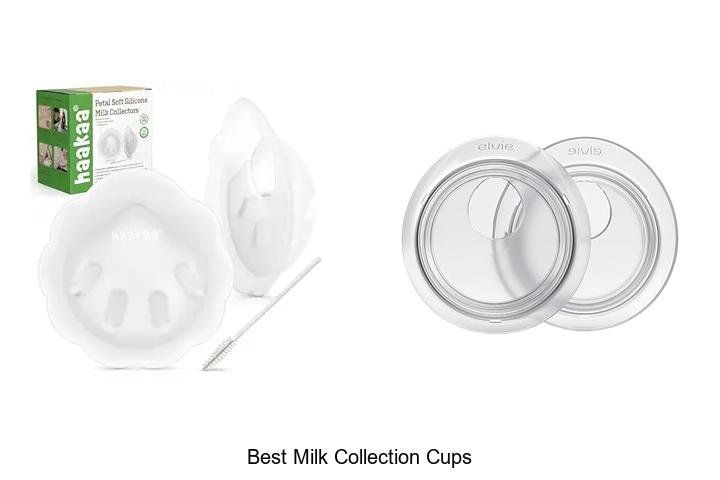 Discover the Best Milk Collection Cups Now!