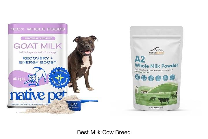 Discover the Best Milk Cow Breed for Top Yield!