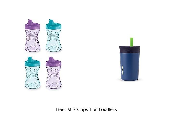 Top 7 Milk Cups for Toddlers Parents Swear By
