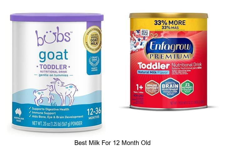 Discover the Best Milk for Your 12-Month-Old Now!
