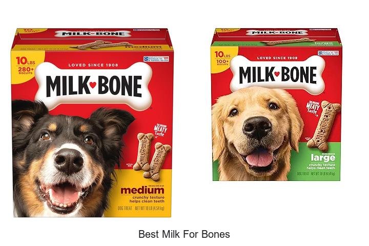 Discover the Best Milk for Strong Bones Now!