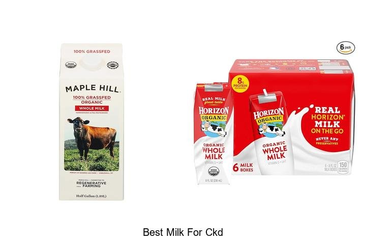 Top Choice: Best Milk for CKD Patients Revealed!