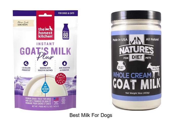 Discover the Best Milk for Dogs: Surprising Pick!