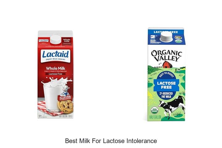 Discover the Best Milk for Lactose Intolerance Now!