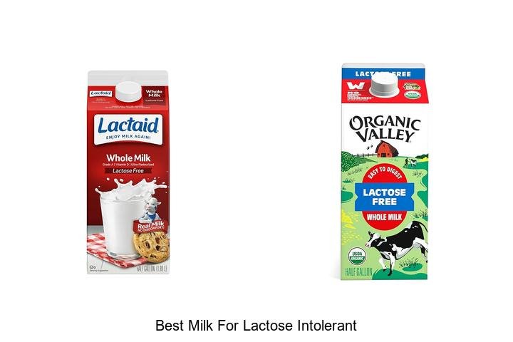 Discover the Best Milk for Lactose Intolerant Folks