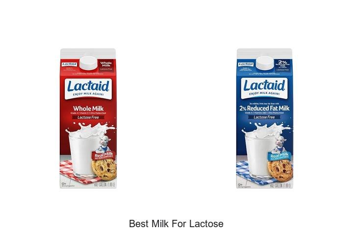Discover the Best Milk for Lactose Intolerance Now!