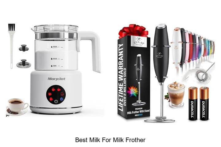 Discover the Best Milk for Perfect Frothy Coffee!