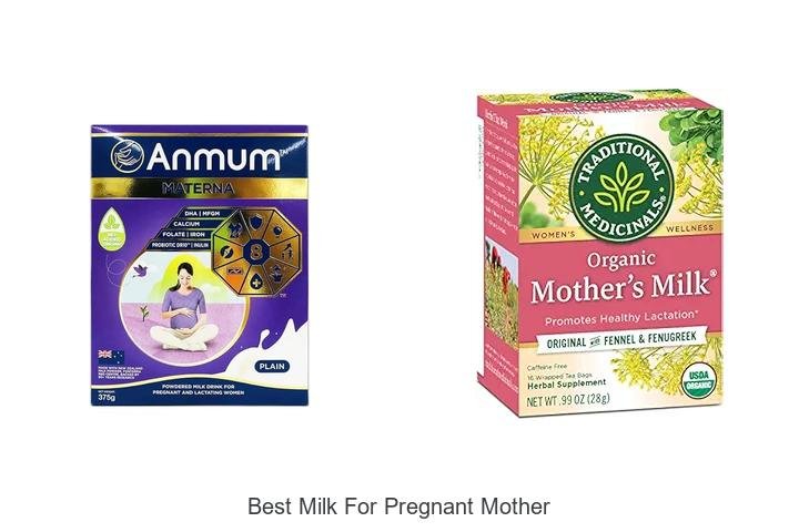 Discover the Best Milk for Pregnant Mothers Today!
